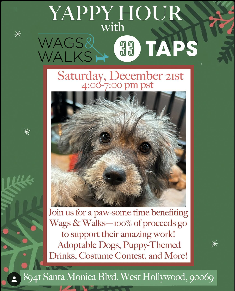 Yappy Hour with Wags & Walks!